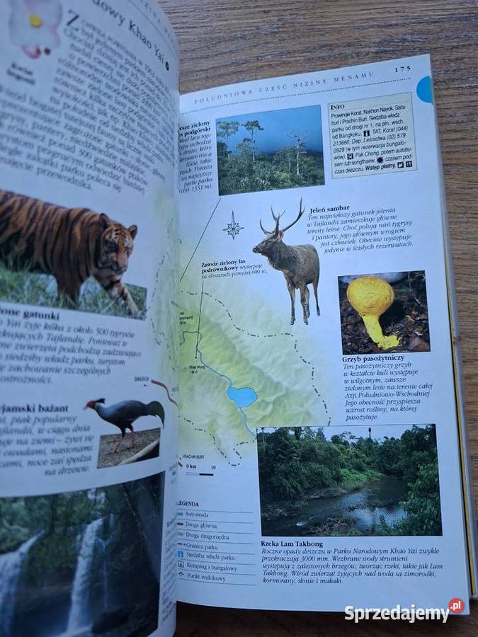 Tajlandia Wiedza i Życie Kraków