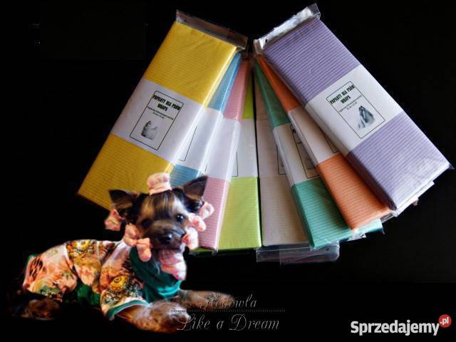Papiloty psów psa papierowofoliowe gumki Działdowo