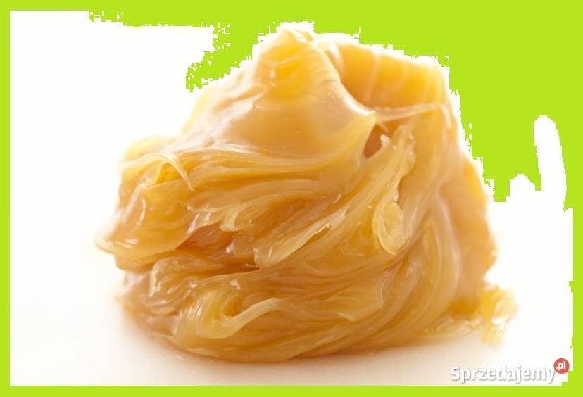 lanolina bezwodna 09L Warszawa