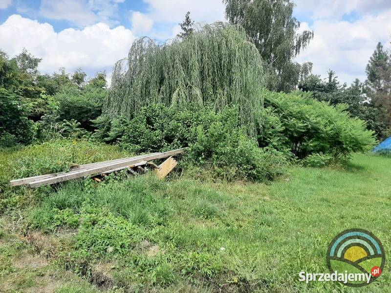 Maszków gm Iwanowice płaska 8arowa działka