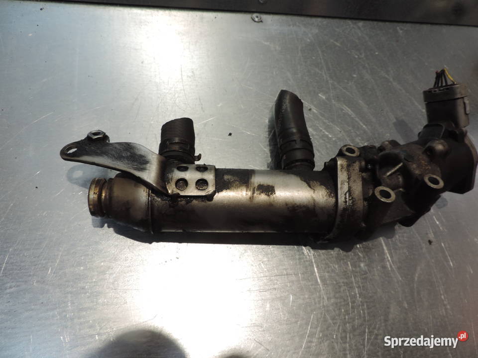 PEUGEOT 407 607 27 HDI EGR CHŁODNICZKA Motoryzacja Nowy Sącz sprzedam