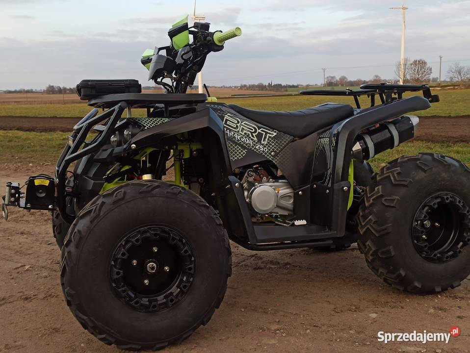 Quad 250 BARACUDA automat 1Rkoła 10 stan nowy Piotrków Kujawski