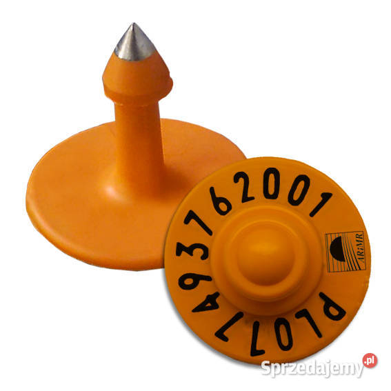 TRZODA kolczyki świń wytrzymałe agencyjne świętokrzyskie Grzymała sprzedam