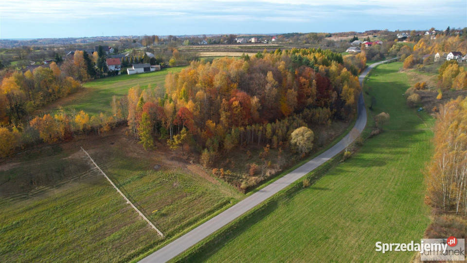 Działka 4182m2 TeodorówkaKolonia