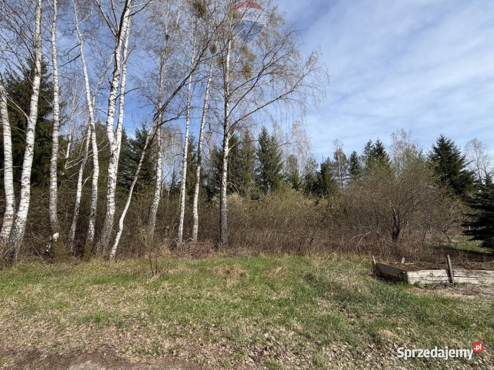 Działak 1289 m2 Ustanów Usługowobudowlana MPZP mazowieckie