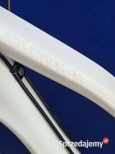 Canyon Spectral Al Rower endurodownhill Poddębice