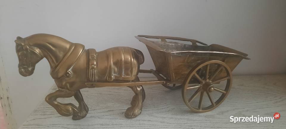 Kon z mosiadzu Poznań