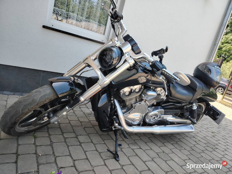 Harley vrod muscle zamiana Szprotawa