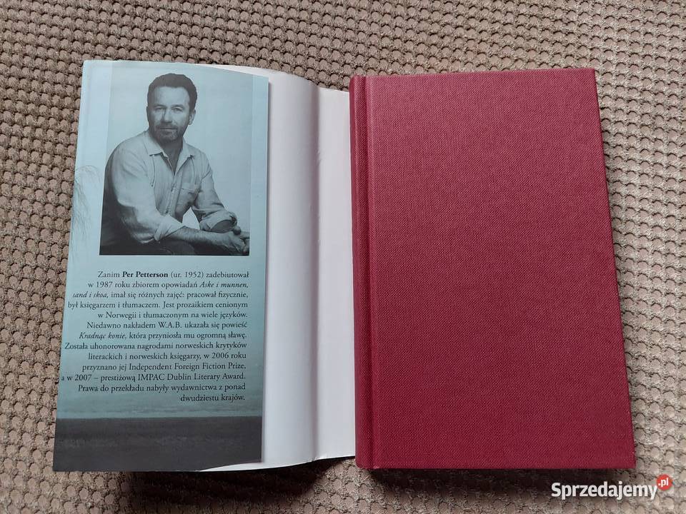 Przeklinam rzekę czasu Per Petterson