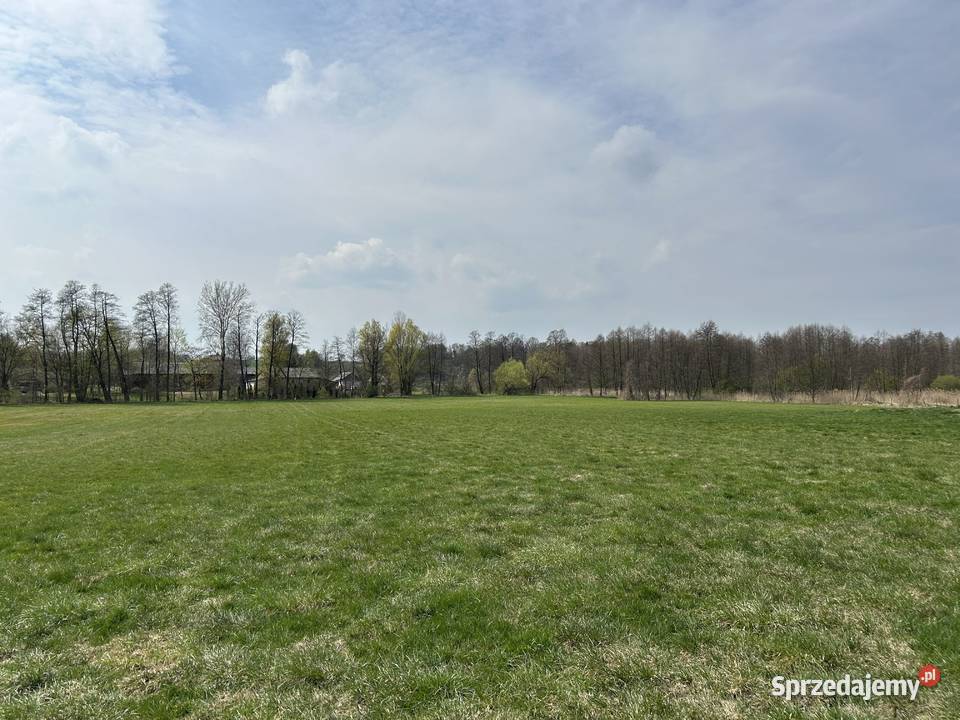 Sprzedam działkę rolną łąka rzeką Kosarzewka