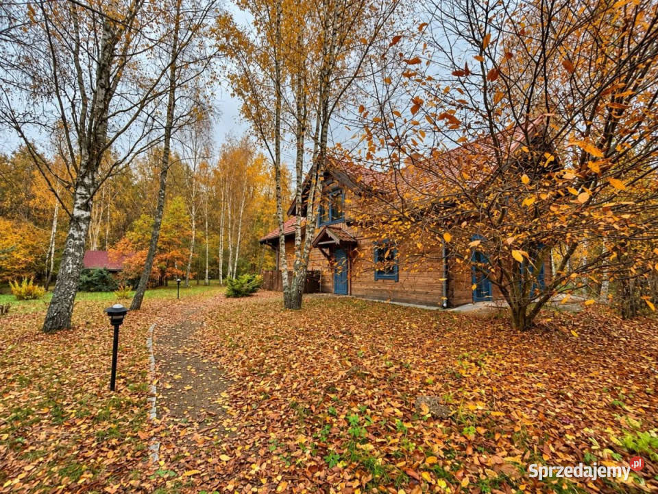 sprzedaży domu wolnostojącego 150m2 Lasowiec Sprzedaż sprzedam