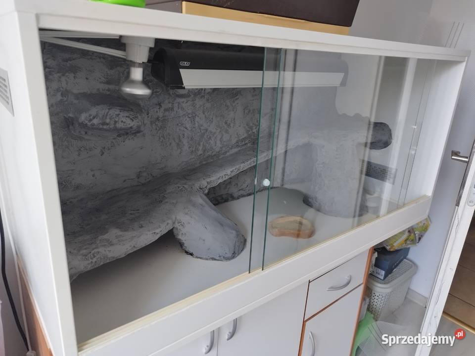 Terrarium gadaZ płyty meblowej wielkopolskie Gostyń