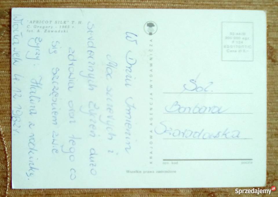 TRZY RÓŻE FOT ZAWADZKI