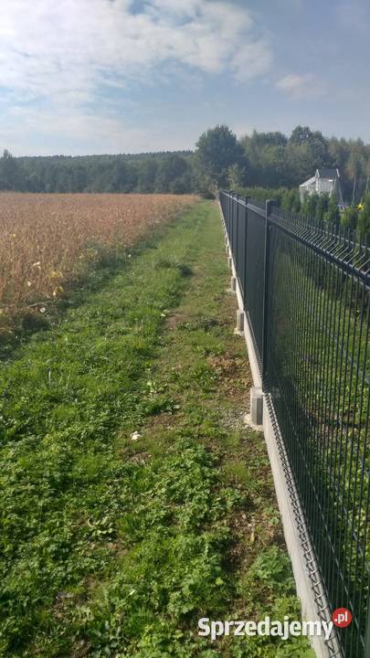 Kompleksowe wykonanie ogrodzeń Ogrodzenia i bramy Dębowiec