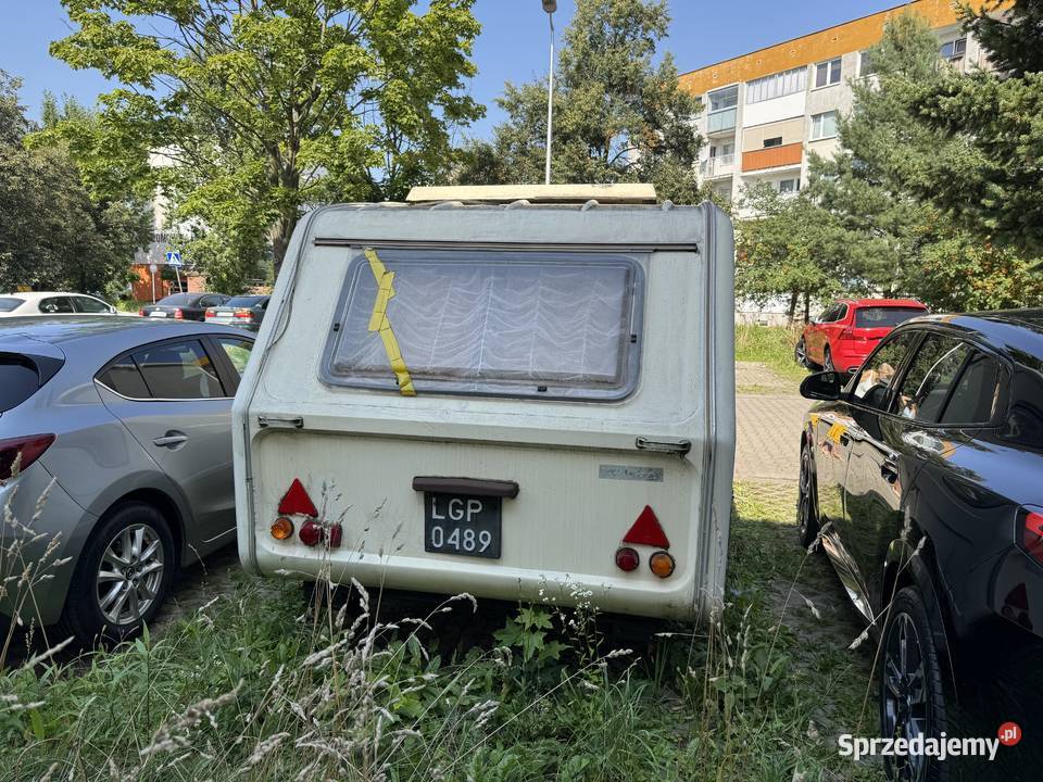 Przyczepa kampingową Niewiadow N126 e cytrynki Legnica