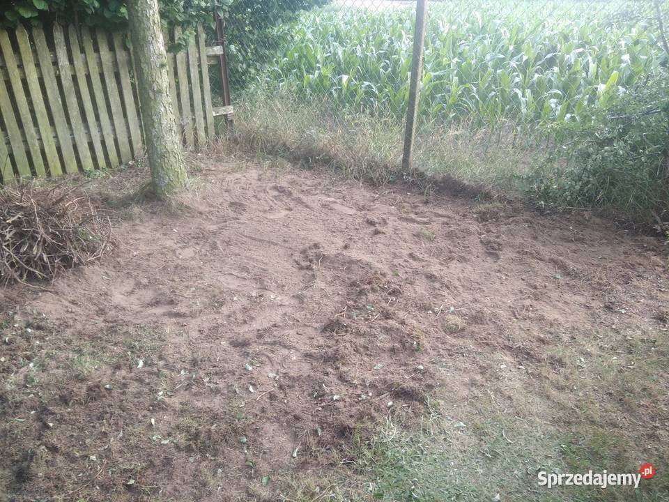 Pielęgnacja ogrodów ogrodnictwo