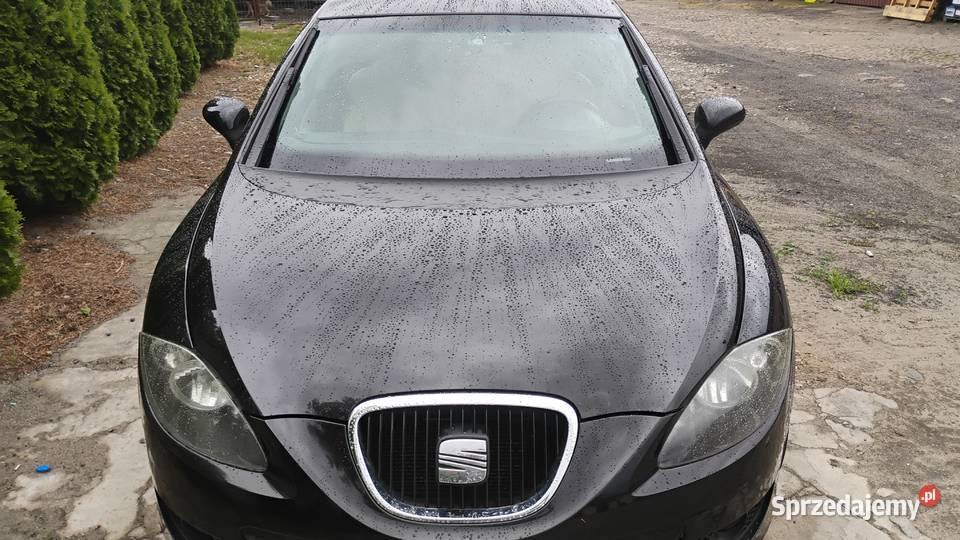 Seat leon Kutno