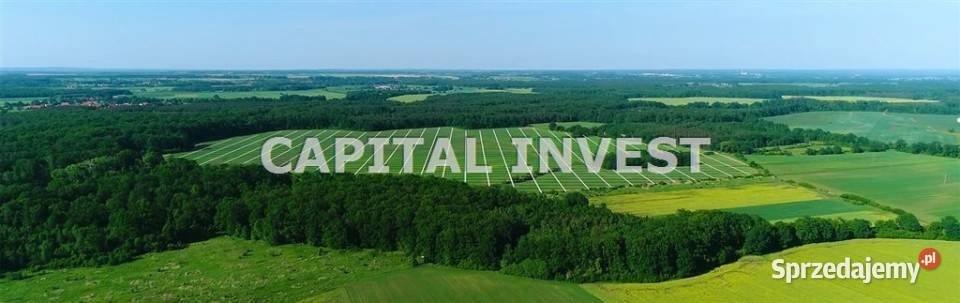 Grunt 1200m Wrocław Sprzedaż