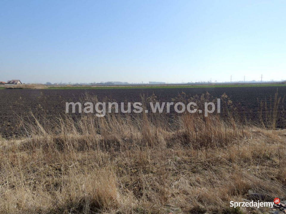 Działka zagrodowa w Suchym Dworze Suchy Dwór