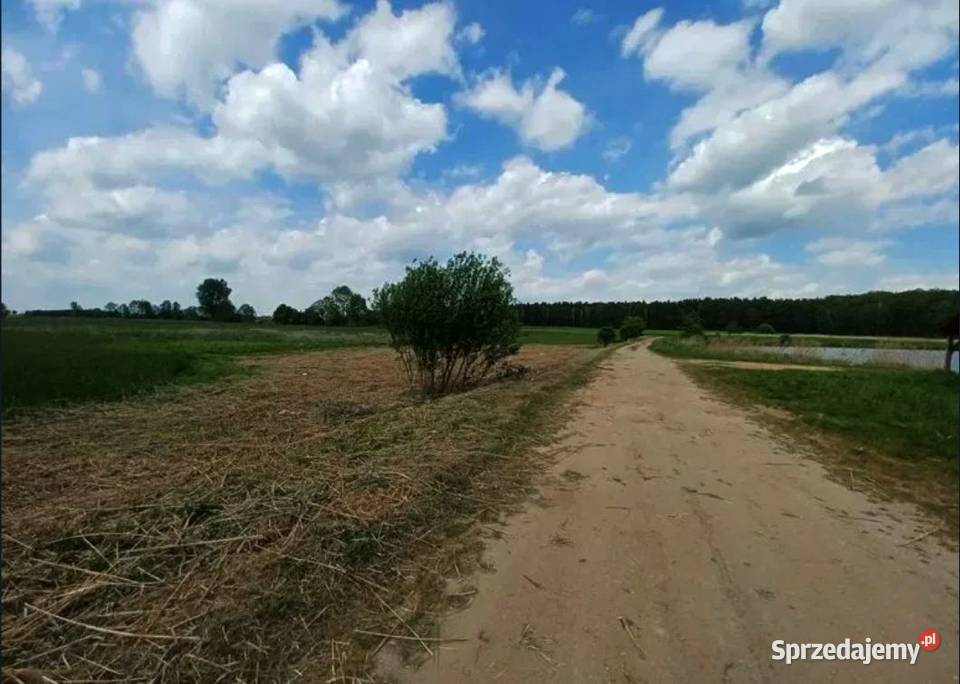 Działka budowlana stawie łódzkie Biestrzyków Wielki