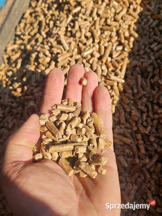 Pellet drzewny Gdynia