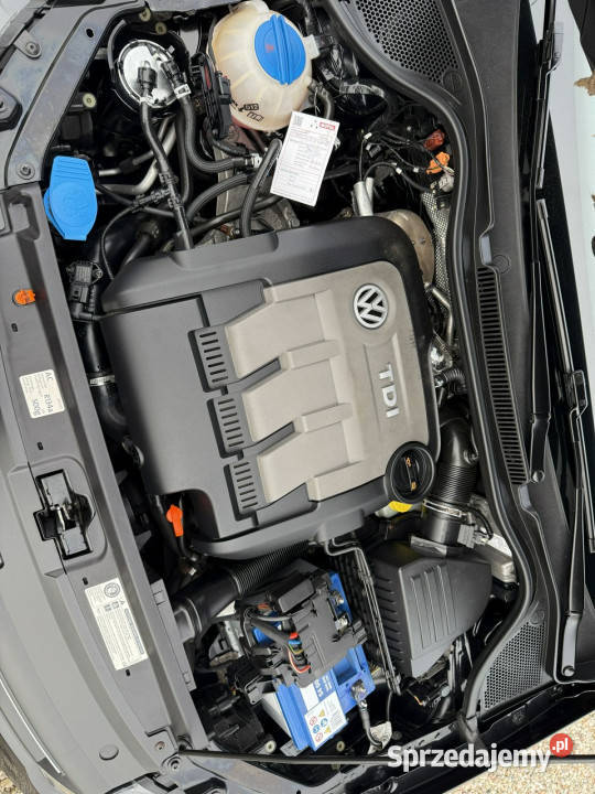 Volkswagen Polo Cross Samochody osobowe Dąbrowa