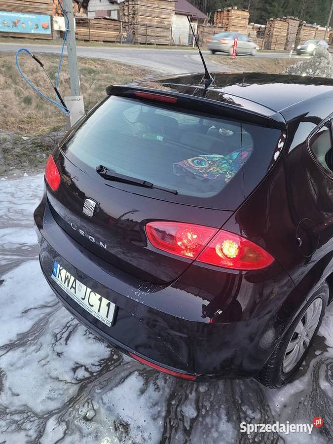Seat Leon 19 TDI 105 2008 polift wspomaganie kierownicy Sułkowice
