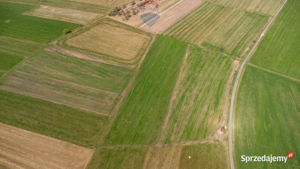 Działka Jabłonka 5942 m2 pod inwestycję utwardzona