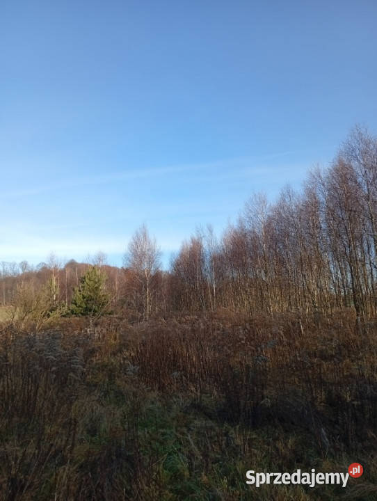Sprzedam działkę budowlaną Ludwinów
