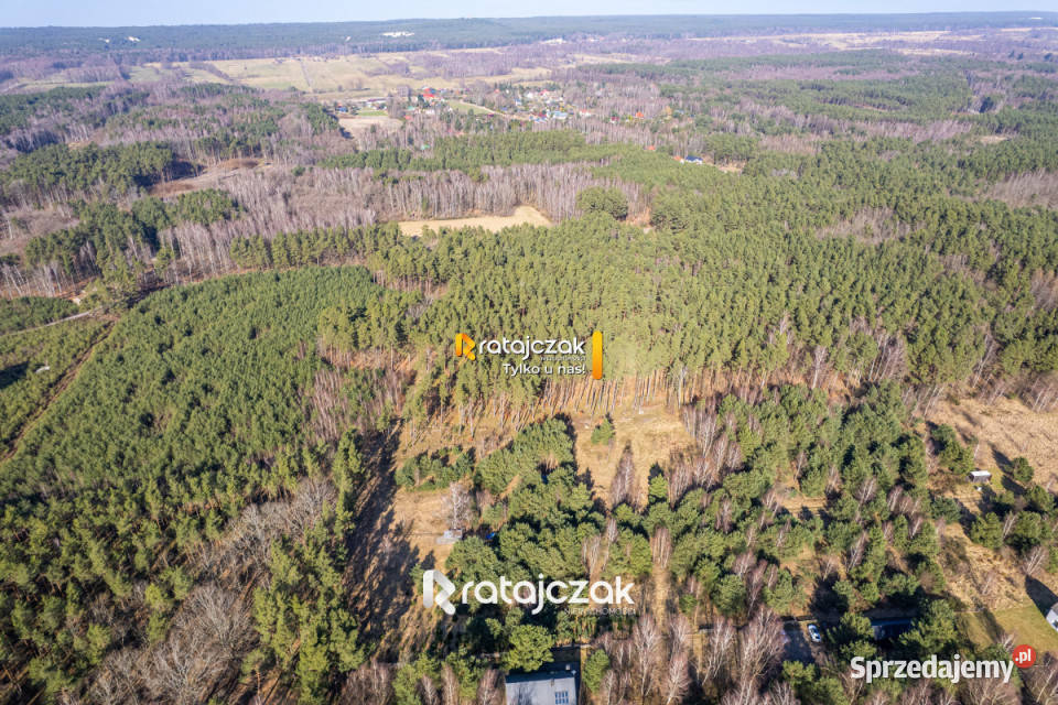 Grunt na sprzedaż 9751m2 Sasino Stara Cegielnia 2216m2
