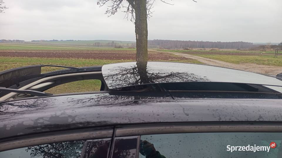 Renault scenic 3 osoba prywatna ful wersja śląskie Cynków