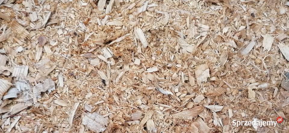 Trociny wióry zwierząt na opał oddam Konstantynów Łódzki