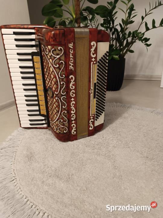 Akordeon horch 120 Dębica