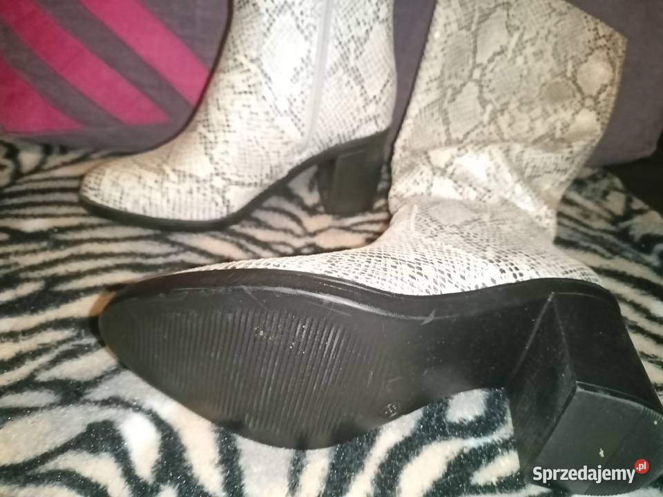 Buty Kozaki skóra węża 38 warmińsko-mazurskie Olsztyn