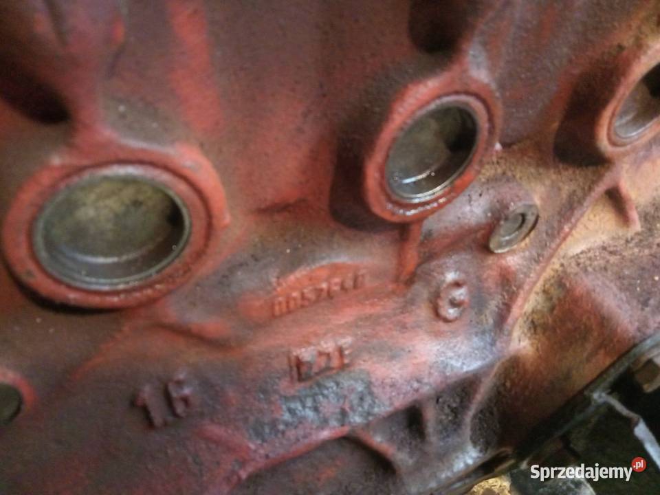 Polonez Silnik 16 Stalowa Wola