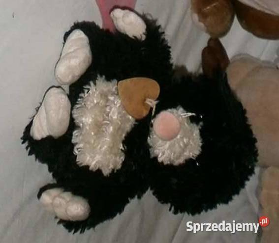 Duży Pies w Czapce mały Kret Kraków