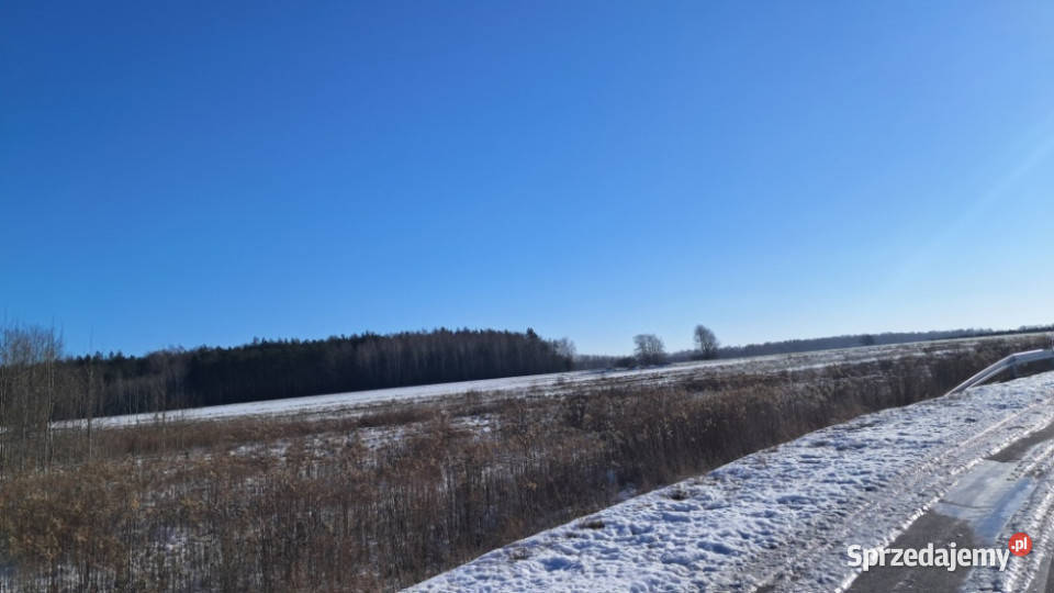Syndyk sprzeda udziały w prawie własności