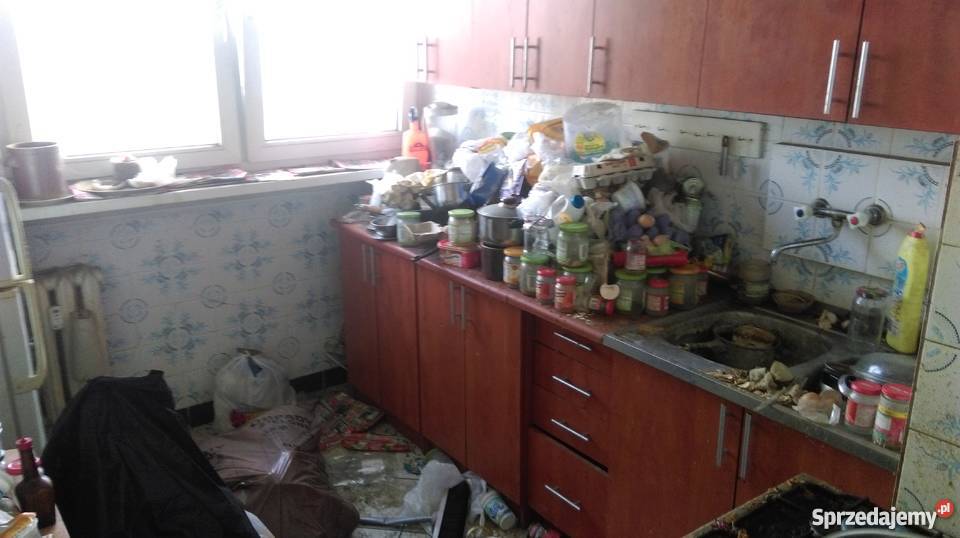 sprzątanie OGRODÓW mieszkan PIWNIC STRYCHY Wrocław
