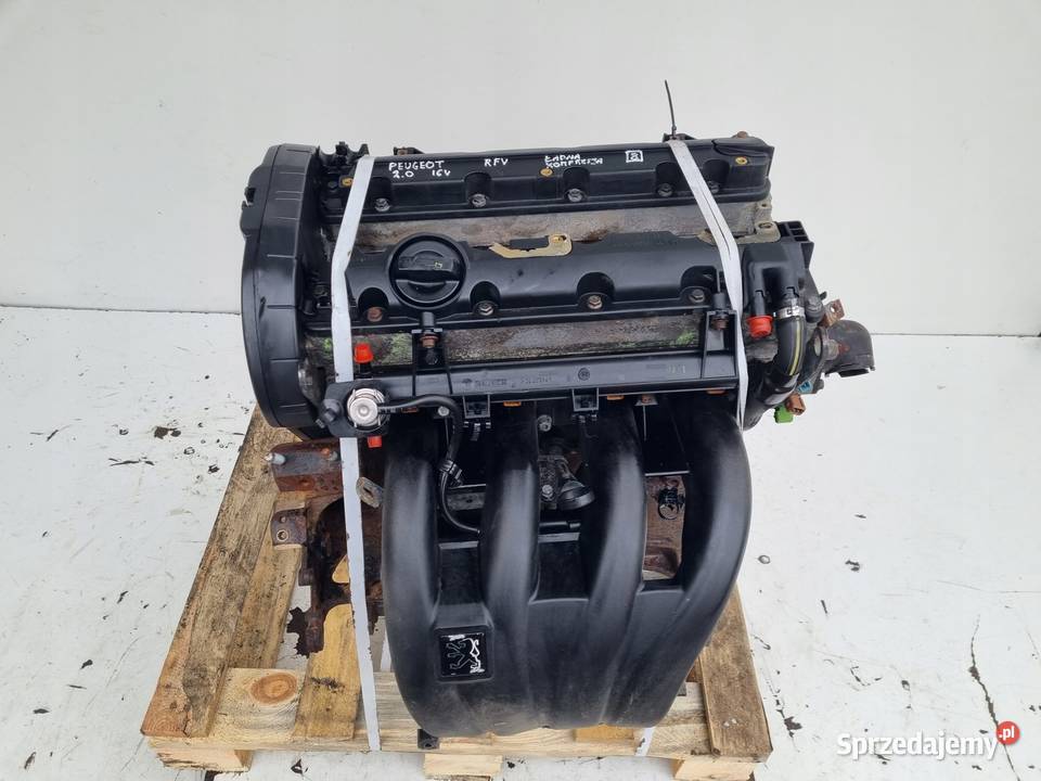 SILNIK KOMPLET Peugeot 806 20 16V ładna osobowe Rudka sprzedam