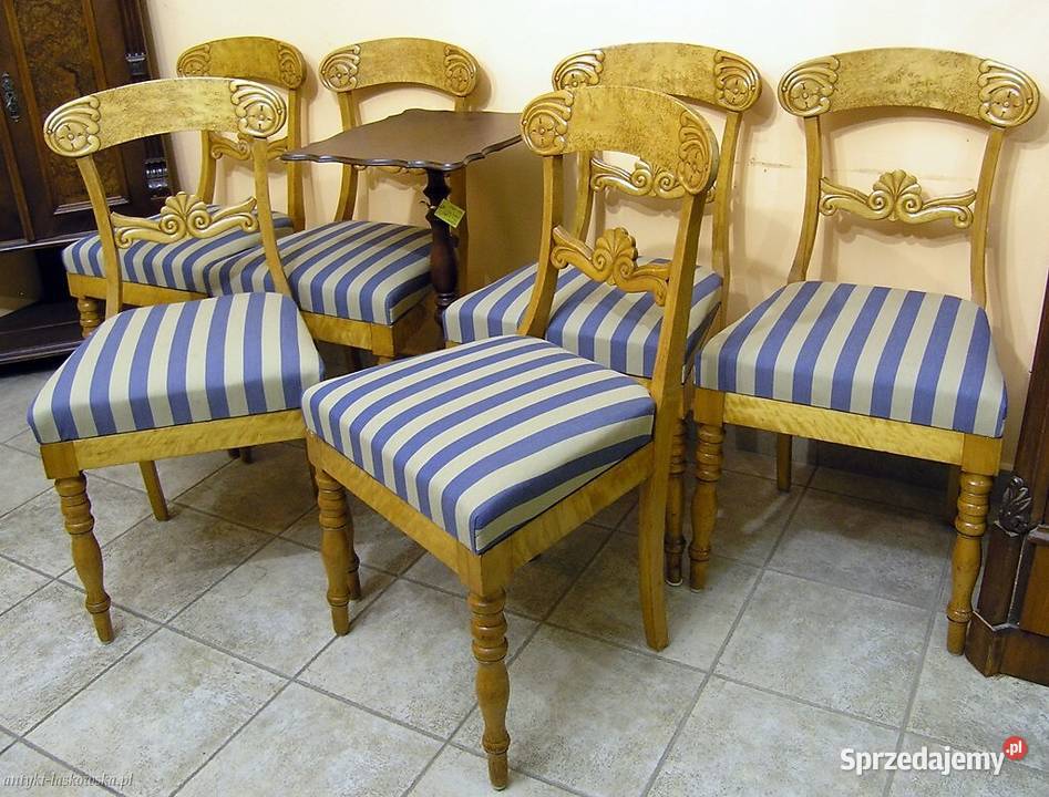 6 krzeseł Biedermeier brzoza Sopot