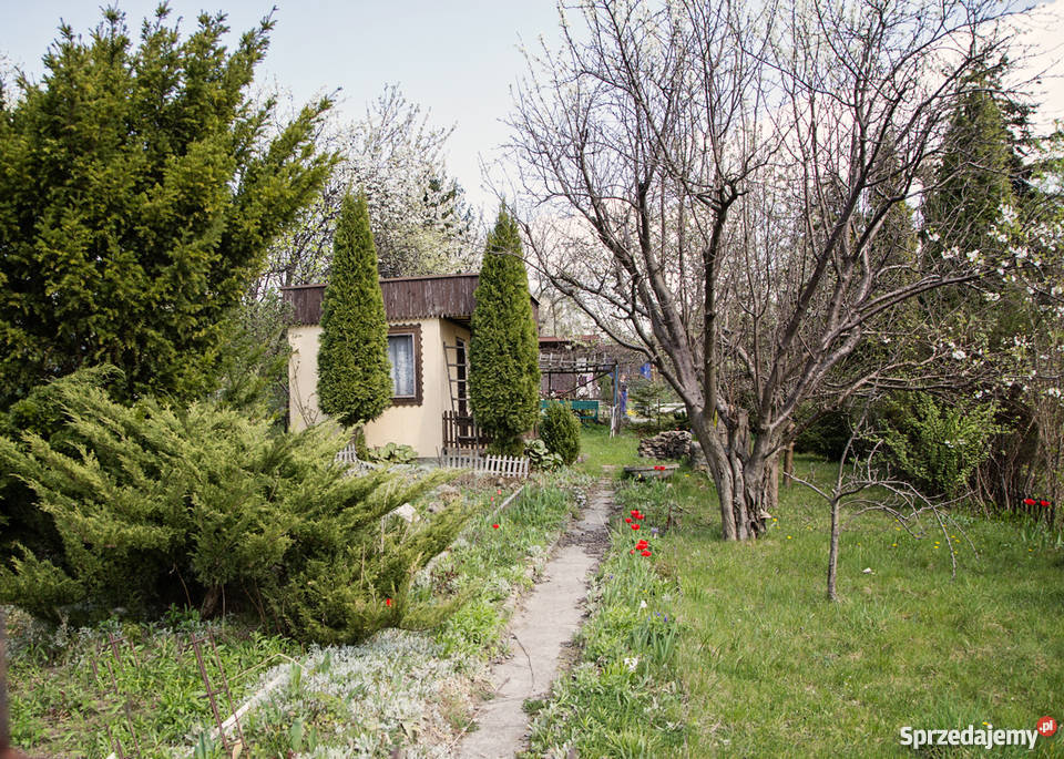 Ogródek działkowy Będzin niedaleko M1 Będzin