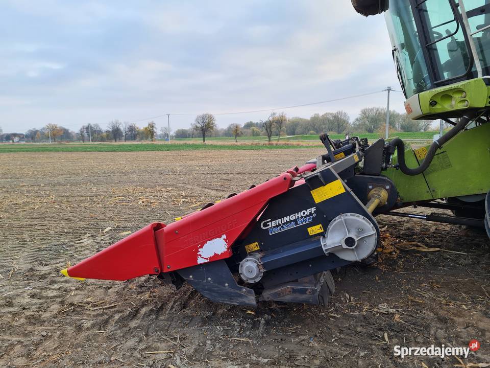Przystawka do kukurydzy 8 rzędowa geringhoff 8 Branice sprzedam