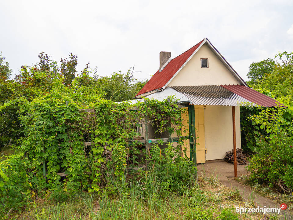 Działka w ROD Złocień ruokliwy solidny domek 70zł/m2 dolnośląskie Wrocław