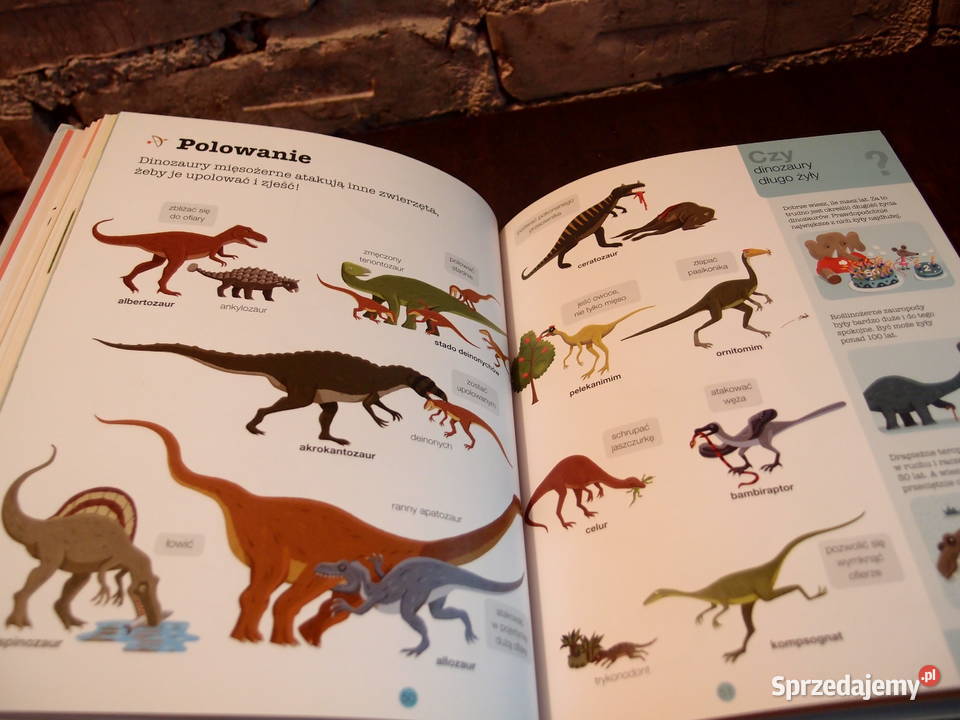 Encyklopedia dzieci Dinozaury Kultura i Rozrywka Łódź