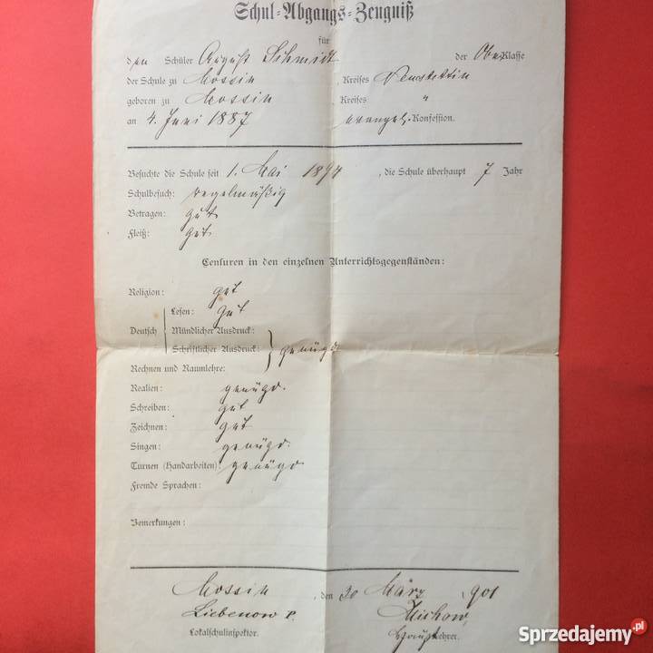 676 Szkolny Dokument Niemiecki sprzedam