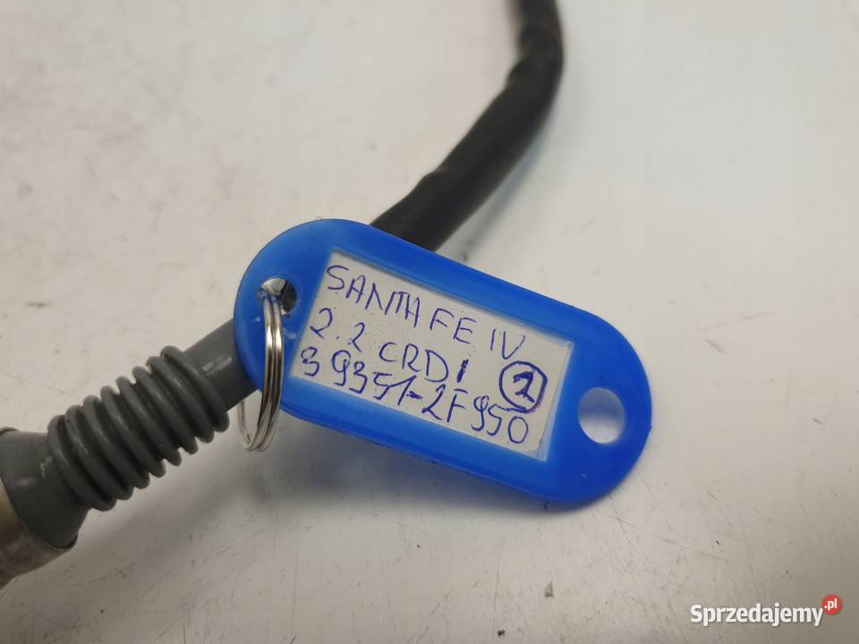 Hyundai Santa Fe IV 22 CRDI SONDA LAMBDA Rudka