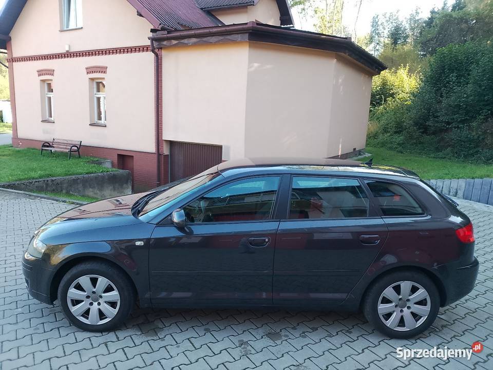 Sprzedam Audi a3 19TDI 105 2006r klima stan Grybów