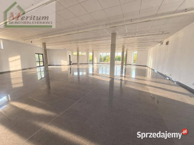 Lokal 36969m2 Jedlicze