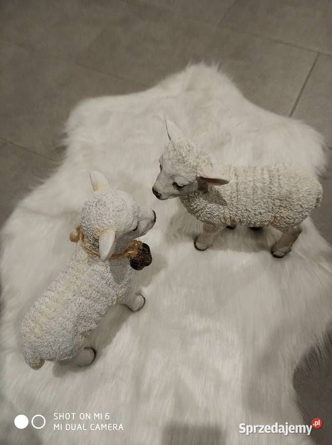 BIAŁY DYWANIK podkarpackie Straszęcin