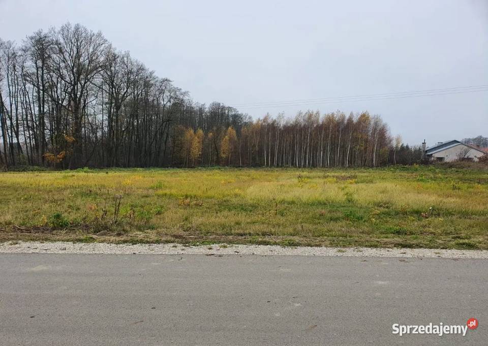 Działki budowlane 8 10 11 12 arów Dąbrowa Tarn 20m małopolskie Dąbrowa Tarnowska